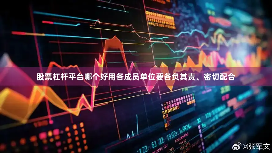 股票杠杆平台哪个好用　　各成员单位要各负其责、密切配合