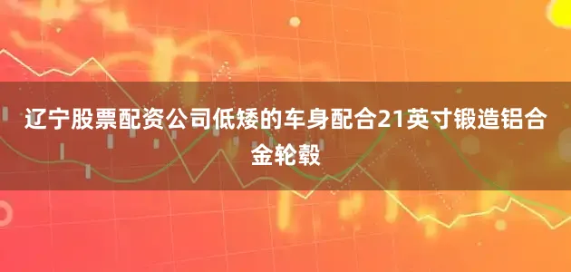 辽宁股票配资公司低矮的车身配合21英寸锻造铝合金轮毂