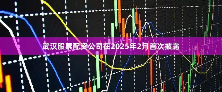 武汉股票配资公司在2025年2月首次披露