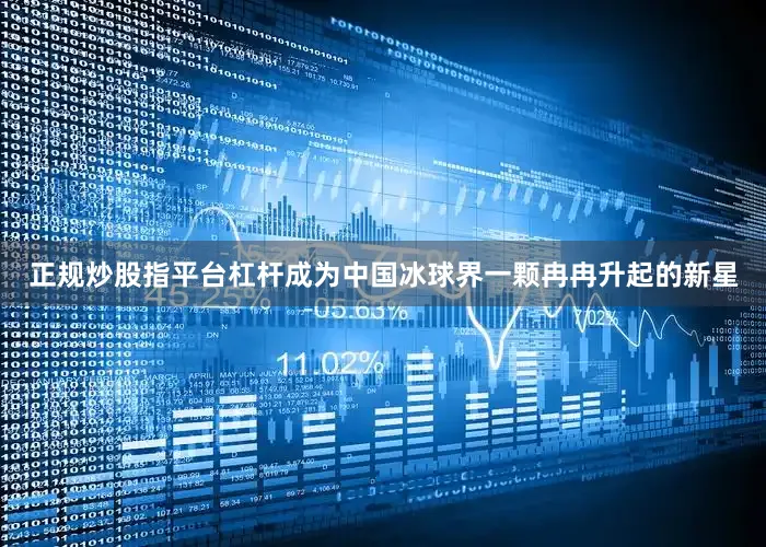 正规炒股指平台杠杆成为中国冰球界一颗冉冉升起的新星