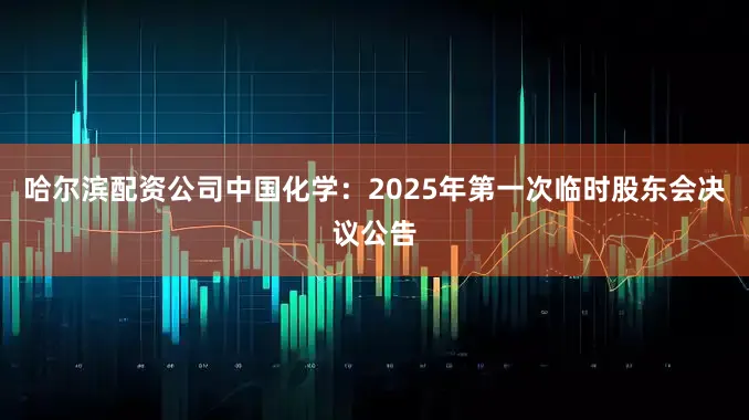 哈尔滨配资公司中国化学：2025年第一次临时股东会决议公告